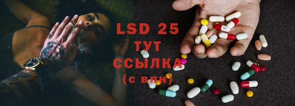 эйфоретик Кукмор