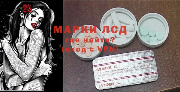 PSILOCYBIN Кулебаки