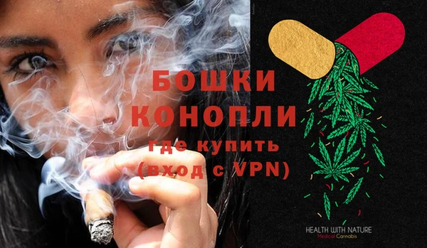PSILOCYBIN Кулебаки