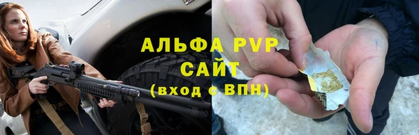PSILOCYBIN Кулебаки