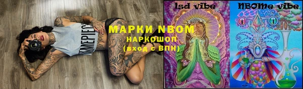 PSILOCYBIN Кулебаки