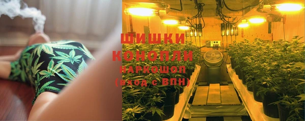 эйфоретик Кукмор