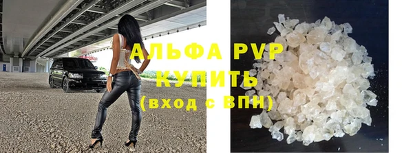 PSILOCYBIN Кулебаки