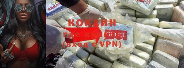 PSILOCYBIN Кулебаки