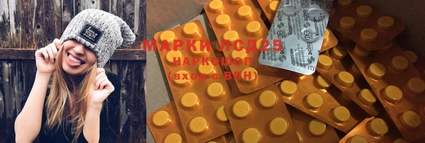 эйфоретик Кукмор